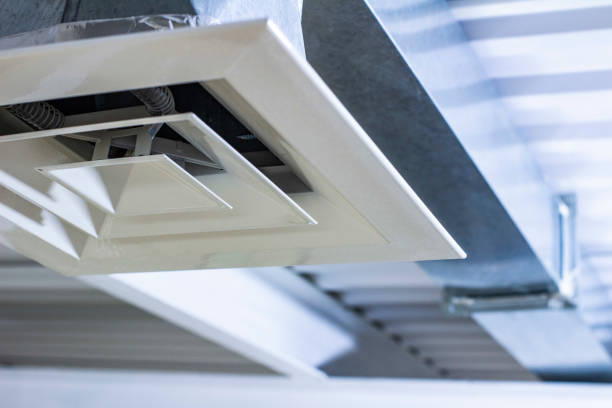 Best Professional Duct Cleaning Services  in Barrington Hls, IL