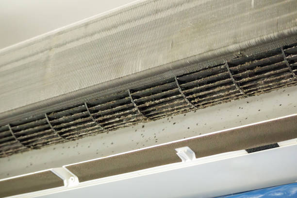 Best Affordable Air Duct Cleaning  in Barrington Hls, IL